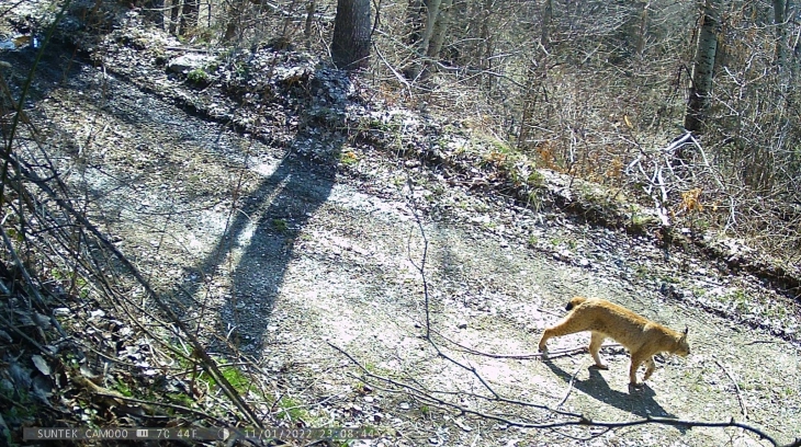 20260317115101 big 730x400 81.webp.webp