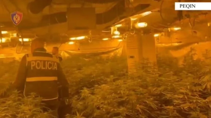 20260319210836 big 730x400 49.webp.webp