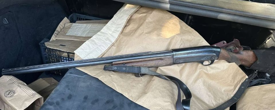 654422528 1235144042129454 7827287343201235248 n.jpg