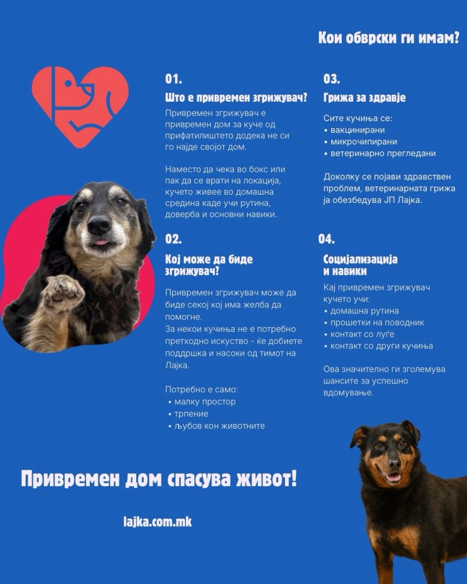 655703865 18056340272701230 6227838504010810009 n.jpg