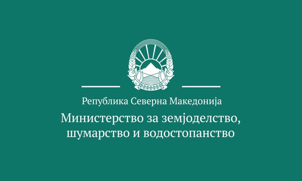 Blog mzsv image bg bzzvjqd7.jpg