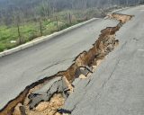 E5ea2883 b20a 417b 90cf ec96e21e10dd.jpeg