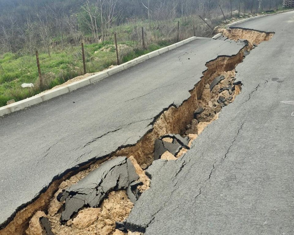 E5ea2883 b20a 417b 90cf ec96e21e10dd.jpeg