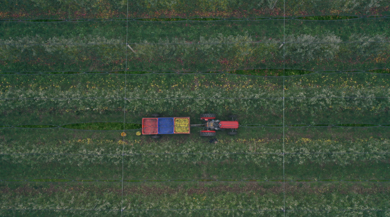 Image 2026 03 23 094437461.png