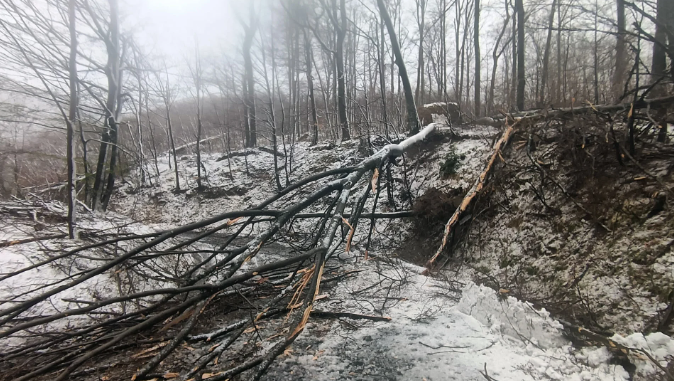 Image 2026 03 27 172534711.png