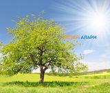 Meteoalarm.mk 23.jpg