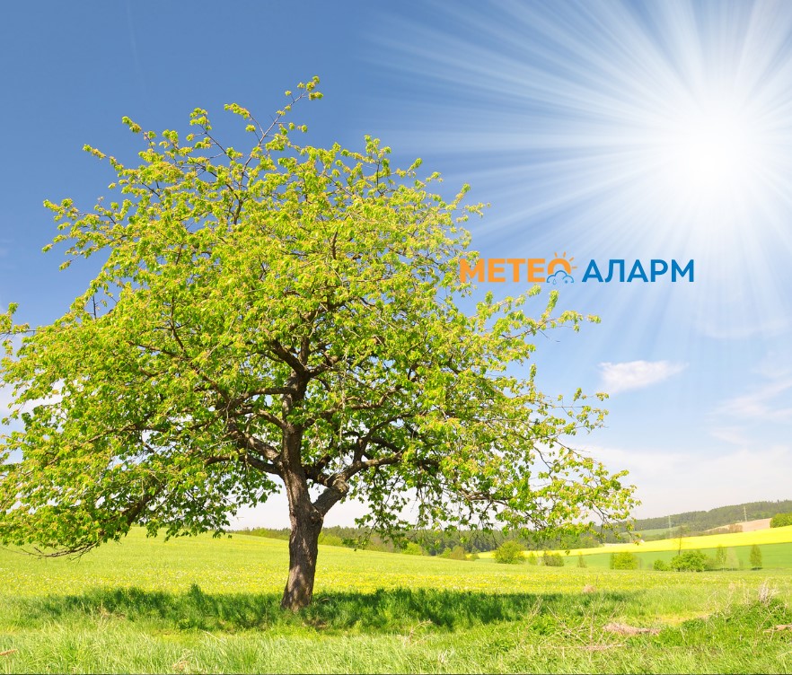 Meteoalarm.mk 23.jpg