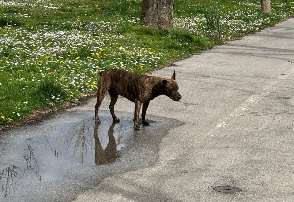 Whatsapp image 2026 03 27 at 13.02.24.jpeg