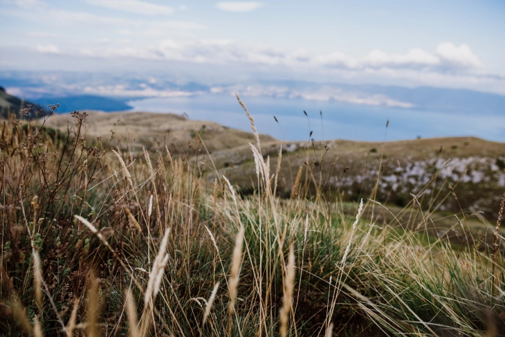 20230802164551 big 730x400 80.webp.webp