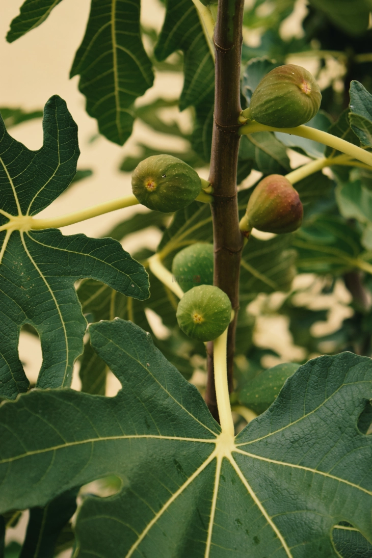 20260408094556 big 730x400 12.webp.webp