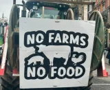 20260408195329 big 730x400 27.webp.webp