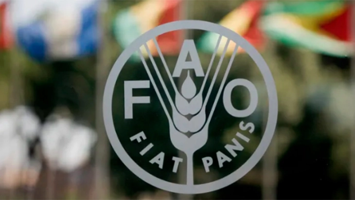 20260414075719 big 730x400 43.webp.webp