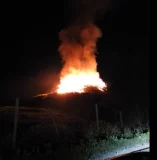 20260420103632 big 730x400 35.webp.webp