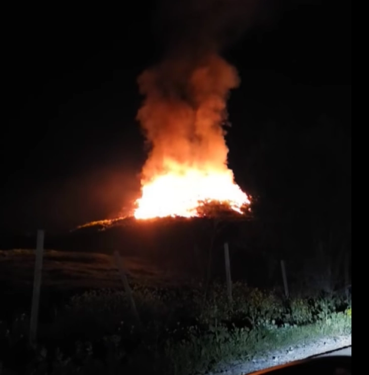 20260420103632 big 730x400 35.webp.webp