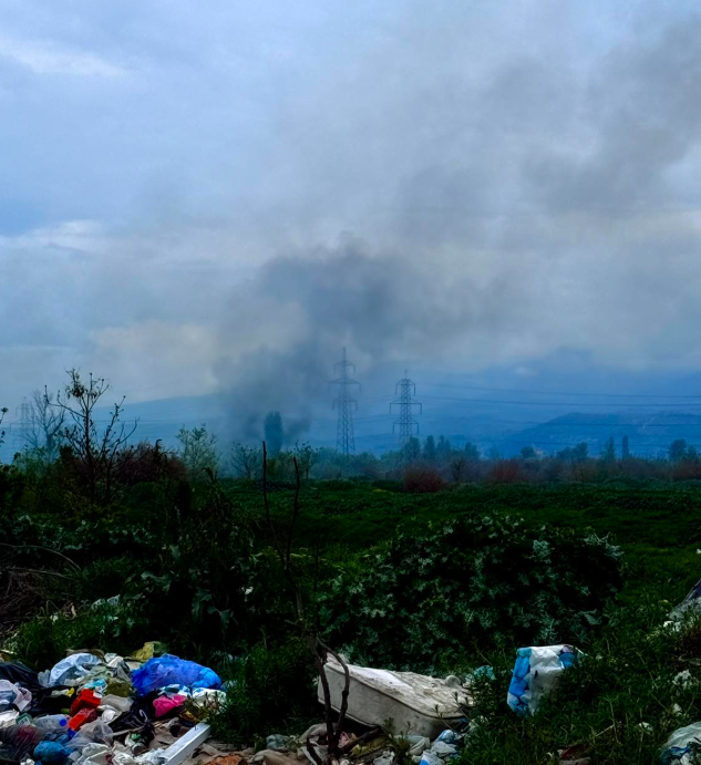 Image 2026 04 15 200014415.png