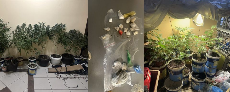 Pretres vo skopje pronajdena droga i nasadi so kanabis liseno od sloboda edno lice image.jpg