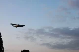Dezinsekczija.webp.webp