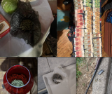 Image 2026 05 09 121646331.png