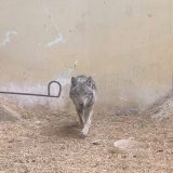 Img 4072.jpeg
