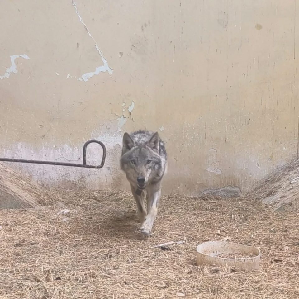 Img 4072.jpeg
