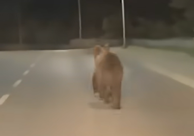Img 5159.png