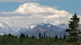 Planina.webp.webp