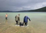 Poribuvanje.webp.webp