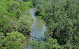 Image 2026 07 08 165344002.png