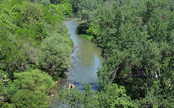 Image 2026 07 08 165344002.png