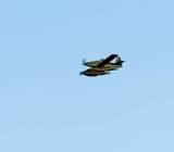 Image 2026 07 23 201148469.png