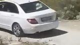 Img 0414.jpeg