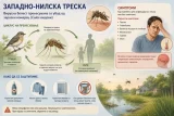 20260812141427 big 730x400 52.webp.webp