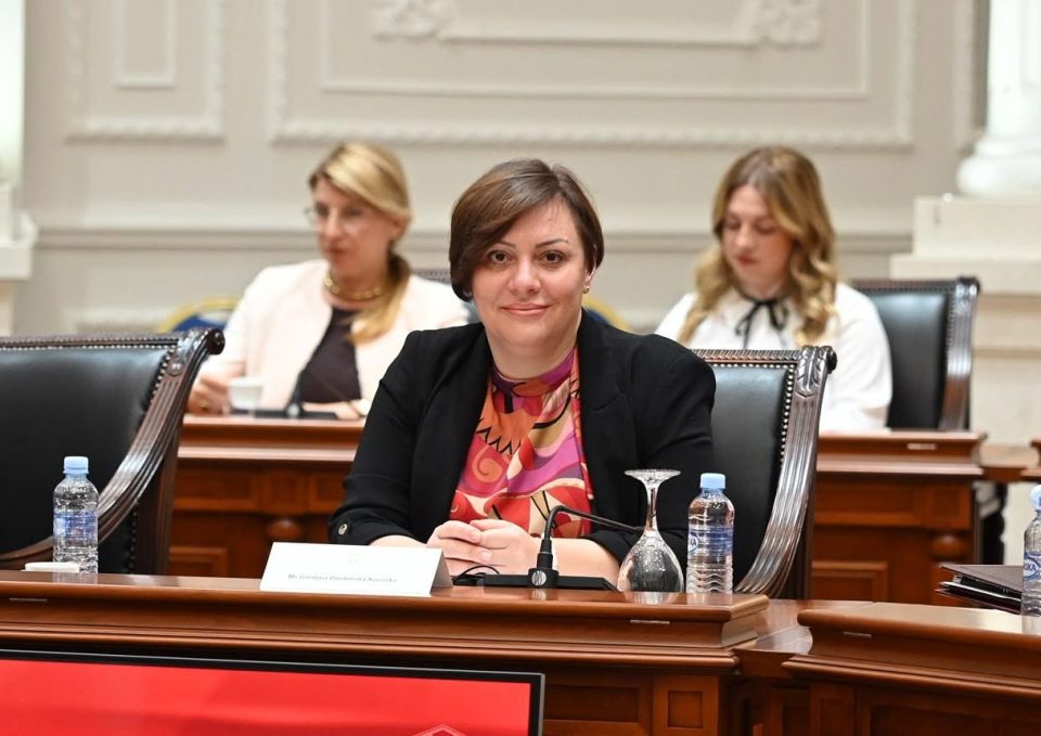 Dimitrieska kocoska poddrskata za domasnite kompanii preku ungarskiot zaem ne se trosok za investicijata tuku investicija vo ekonomskiot rast image e1786787383241.jpg