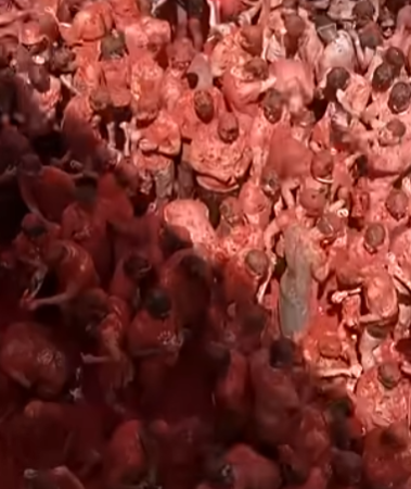 Image 2026 08 28 165111338.png