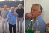 Orban rakija.webp.webp