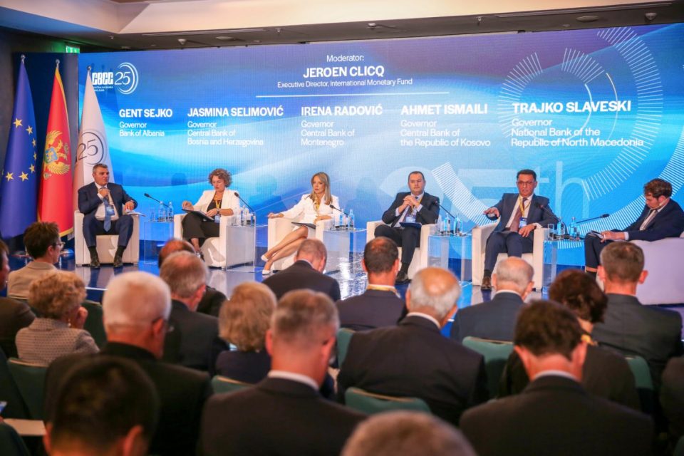 Konferenczija czrna gora panel.jpg