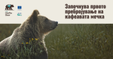Life dinpinbear 07092026.png