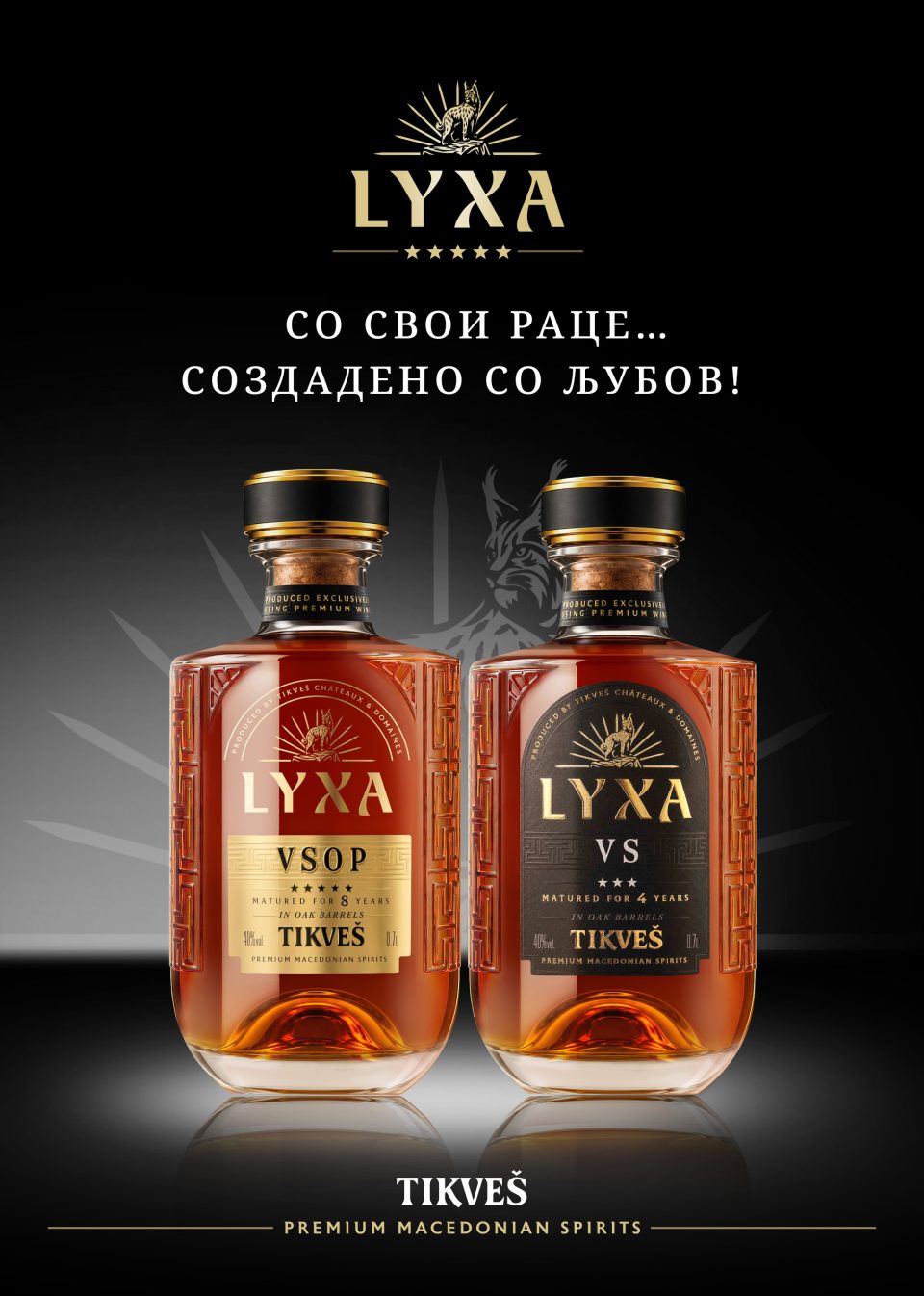 Lyxa a5 flaer mkd.jpg