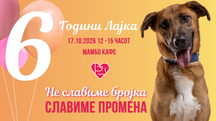 20261016151356 big 730x400 87.webp.webp