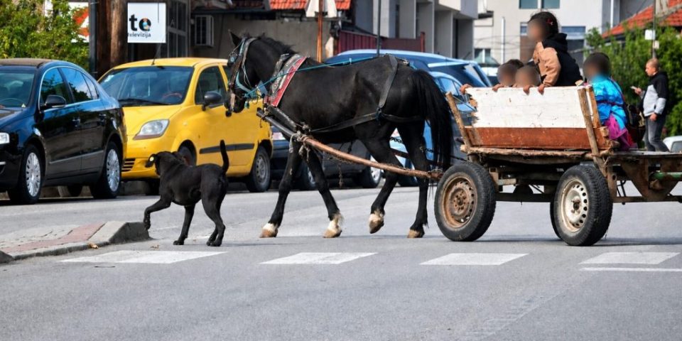 Koni shetaat niz skopje 1024x512 1.jpg