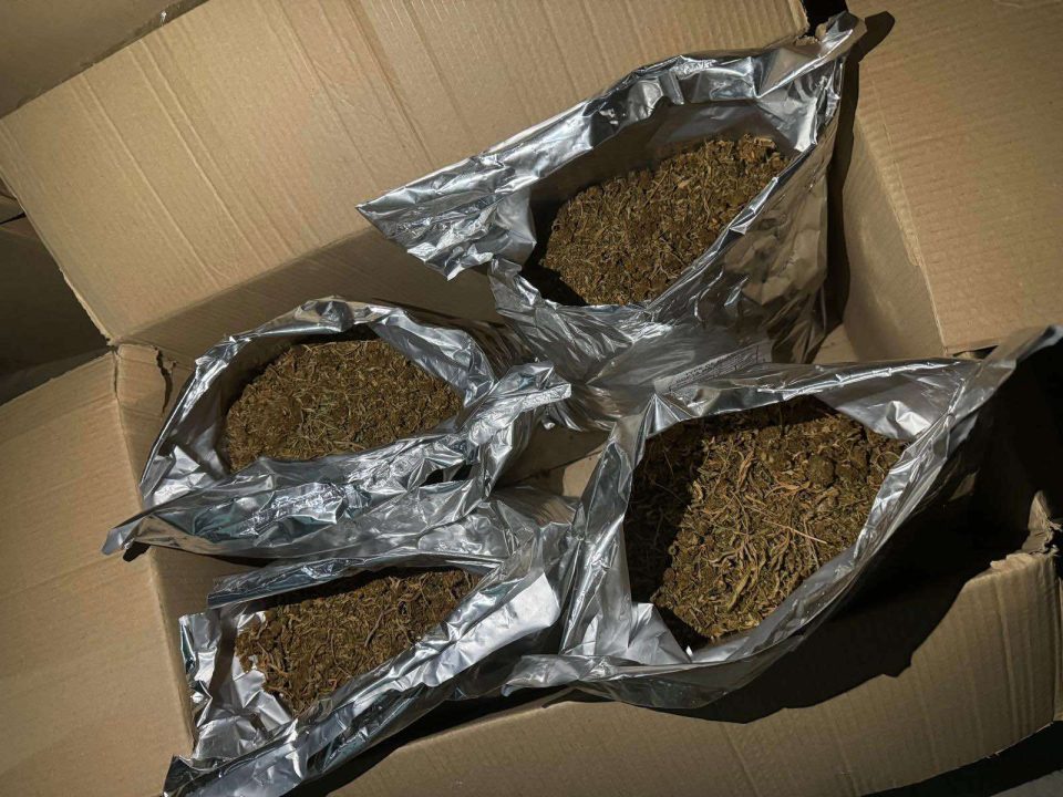 Marihuana zaplena 3.jpg