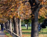 Vreme 1.webp.webp